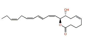 Didemnilactone B